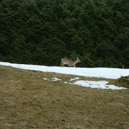 Alpesi faház Le Manege Ouest